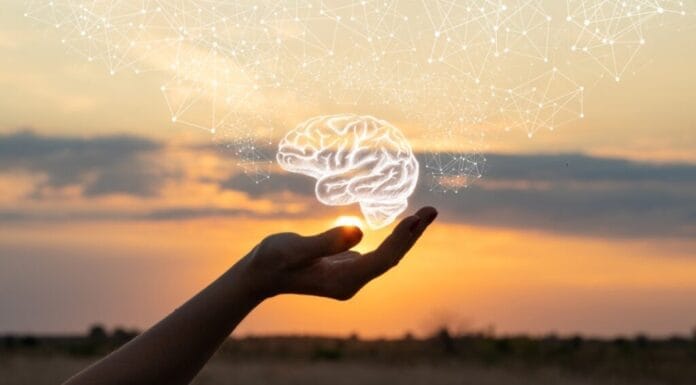 From Playground Worries to Adult Anxieties