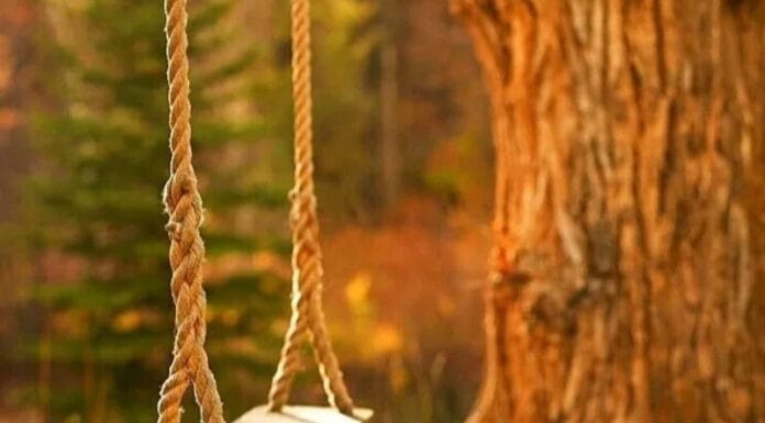 They Grew Up. Did We?